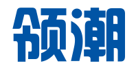 青岛领潮信息咨询有限公司