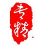 长沙专精知识产权有限公司
