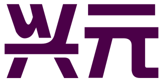 成都兴元财务咨询有限责任公司