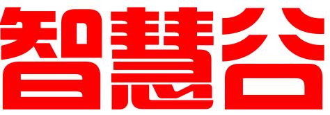 智慧谷广州知识产权运营有限公司