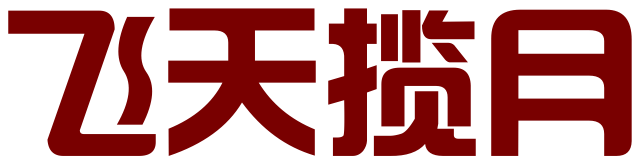 安徽飞天揽月知识产权代理有限公司