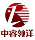 中睿领洋（天津）科技咨询有限公司