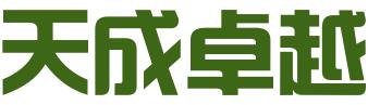 重庆天成卓越知识产权代理有限公司