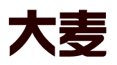 石家庄大麦财务咨询有限公司