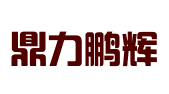 河北鼎力鹏辉科技有限公司