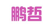 山东鹏哲律师事务所
