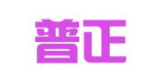 山东普正律师事务所