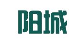 重庆阳城律师事务所