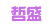 辽宁哲盛律师事务所