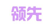 山东领先律师事务所