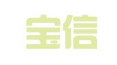 六安宝信财务管理有限公司