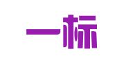 安徽一标一界信息科技有限公司
