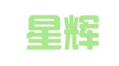 大连星辉人才培训服务有限公司