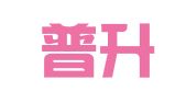 重庆普升人力资源管理有限公司