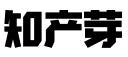 上海知产芽知识产权代理有限公司