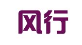 北京风行国际知识产权集团有限公司