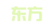 大连东方专利代理有限责任公司