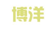 北京博洋世纪信息技术有限公司
