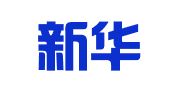 北京新华翻译服务有限公司