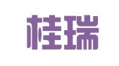 广西桂瑞代理记账有限公司