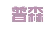 重庆普森代理记账有限公司