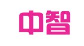 烟台中智财务代理记账有限公司