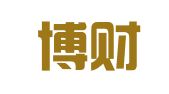 山东博财代理记账有限公司
