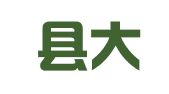 安平县大正工商代理处