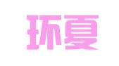 安徽环夏信息科技有限公司