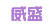 深圳威盛国际物流有限公司
