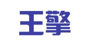 上海王擎企业登记代理有限公司