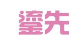 上海鎏先企业登记代理有限公司