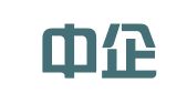 深圳中企通企业登记代理服务有限公司