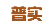 上海普实代掌企业登记代理有限公司