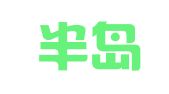 重庆半岛财务咨询服务有限公司