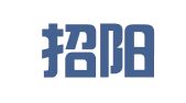 广东招阳财务咨询有限公司