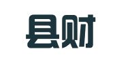 新宁县财务会计有限责任公司