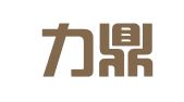 重庆力鼎财务咨询有限公司