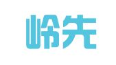 广州岭先财务咨询服务有限公司