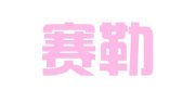 河北赛勒翻译服务有限公司