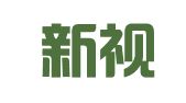郑州新视点财务咨询有限公司