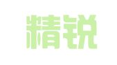 成都精锐财务代理记账有限公司