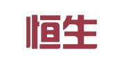 河南恒生财务管理有限公司