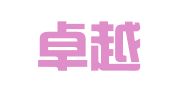 广西卓越知识产权服务有限公司
