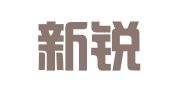 宁波新锐知识产权服务咨询有限公司