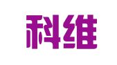青岛科维思信息技术有限公司