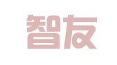 南通智友财务经纪有限公司