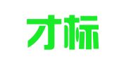 江苏才标信息科技有限公司