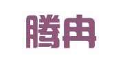 重庆腾冉财务咨询有限公司