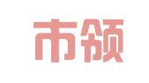 深圳市领昇财务咨询有限公司